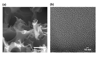 Activated, sulfur-containing porous carbon sample (Rice University)